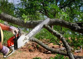 Best Soil Testing and Treatment  in Hialeah Gardens, FL